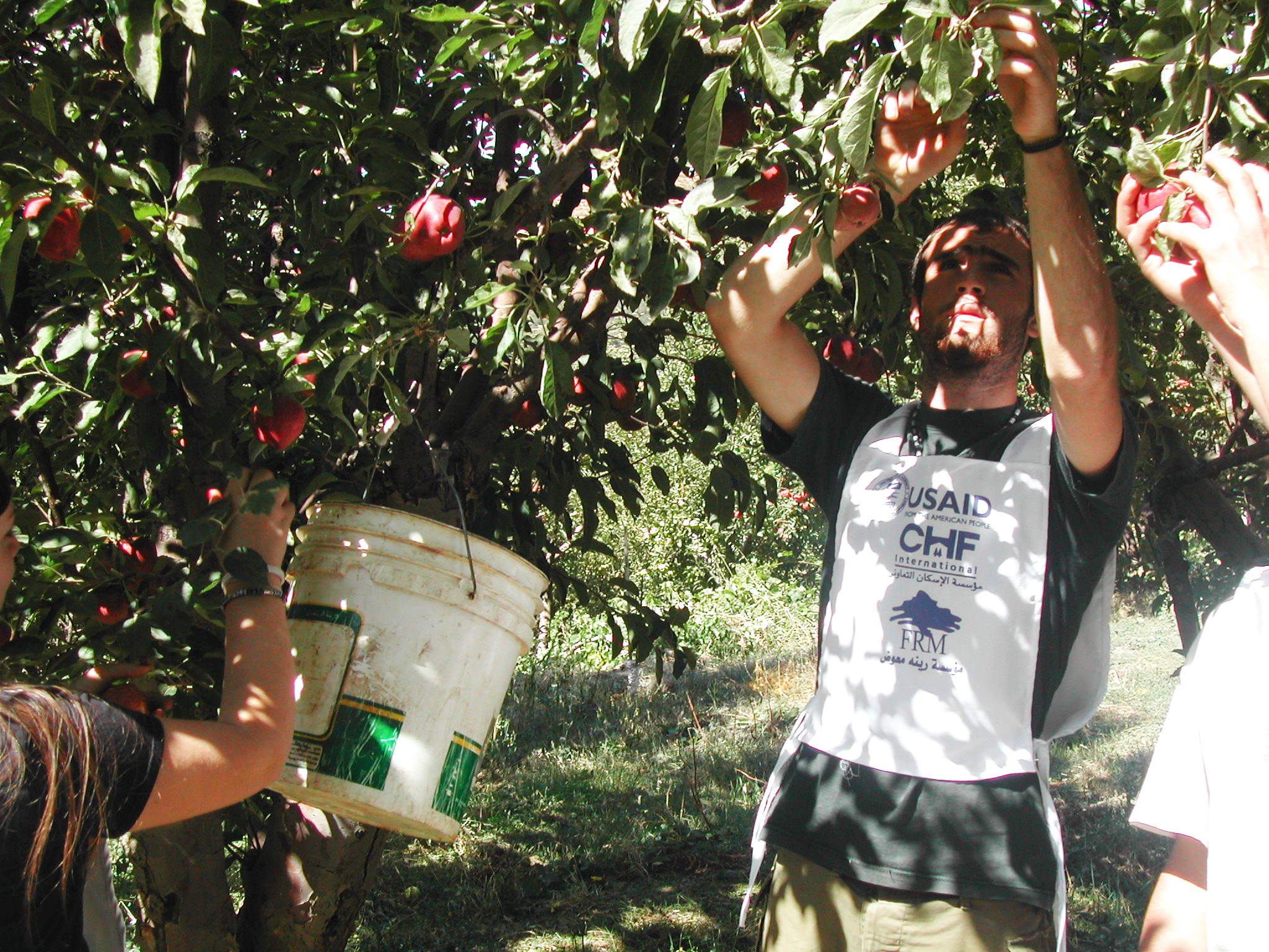 Apple Harvesting Campaign – René Moawad Foundation