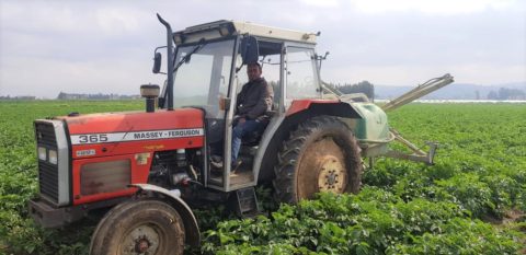 Farming is a profession of Hope-USAID BALADI